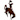 Wyoming Cowboys